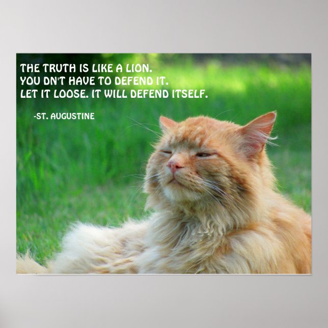 Poster Citation de vérité St Augustine du chat Ginger (Devant)