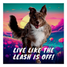 Citation de vie amusante Modern Australian Shepher