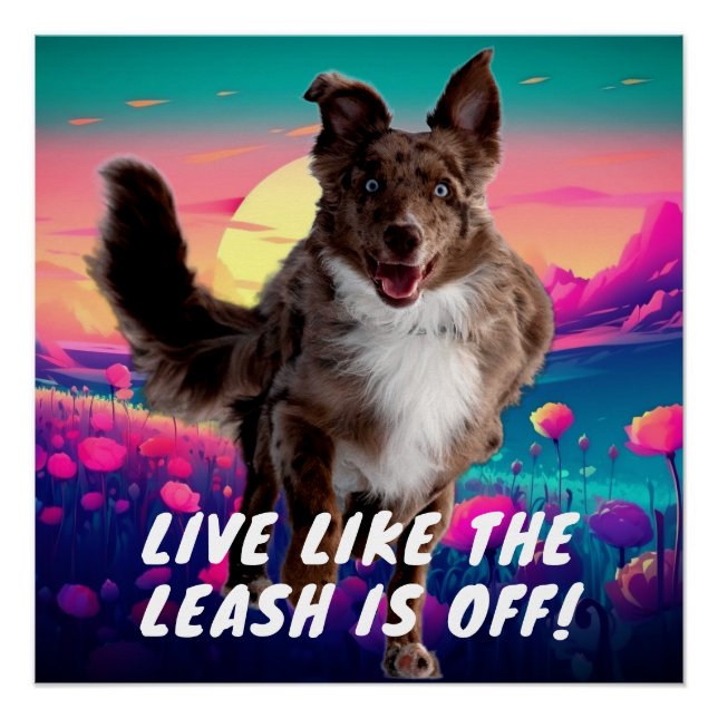 Poster Citation de vie amusante Modern Australian Shepher (Devant)