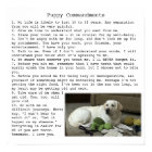 Citation des commandements de chiot pour Janell
