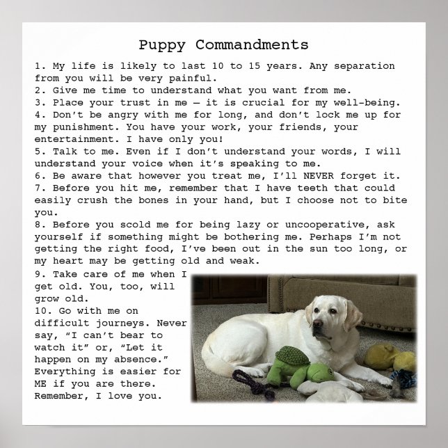 Poster Citation des commandements de chiot pour Janell (Devant)