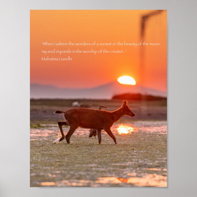 Poster Citation du coucher de soleil de Gandhi (Devant)