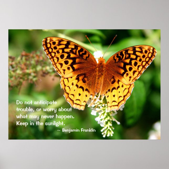 Poster Citation Inspirant Conserver dans le Papillon oran (Devant)