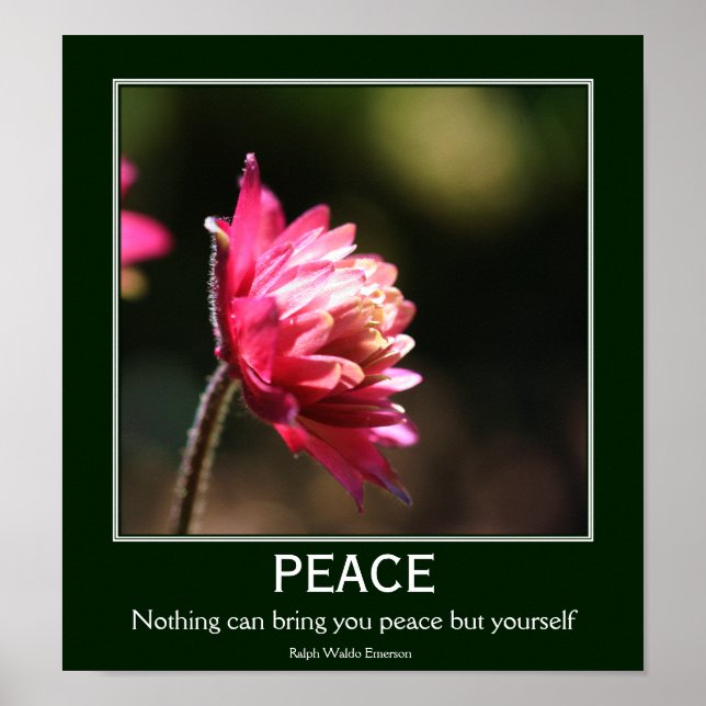 Poster Citation inspirante Fleur de Paix Intérieure (Devant)