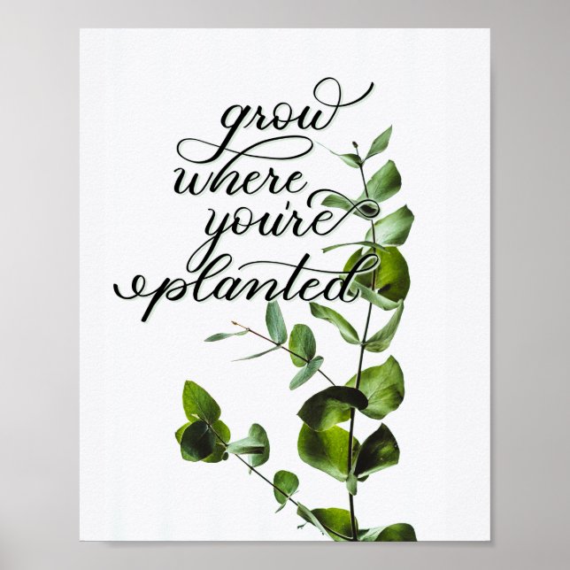Poster Citation Inspirationnelle "Croissance là où vous ê (Devant)