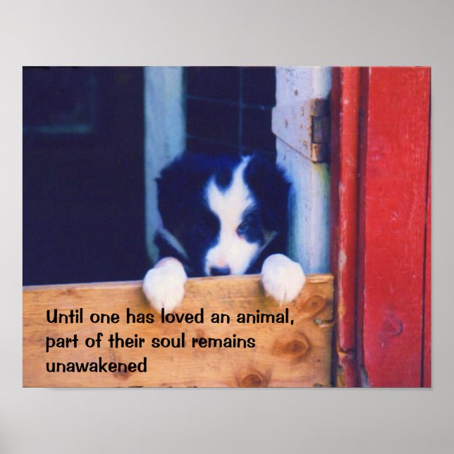 Poster Citation Inspirationnelle des animaux de chiots mi (Devant)