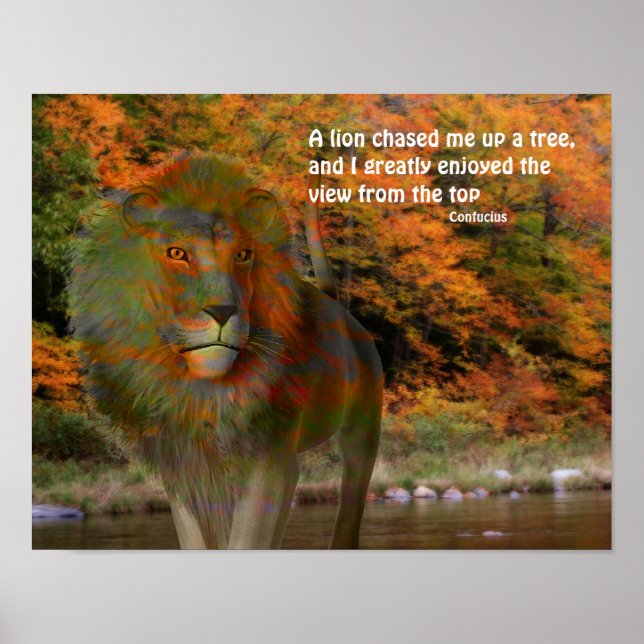 Poster Citation Inspirationnelle Lion Confucius (Devant)