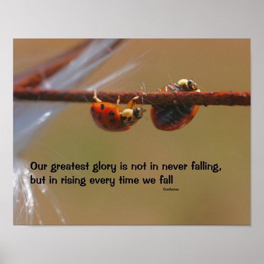 Poster Citation Inspiree D Attitude De Coccinelles Zazzle Ca