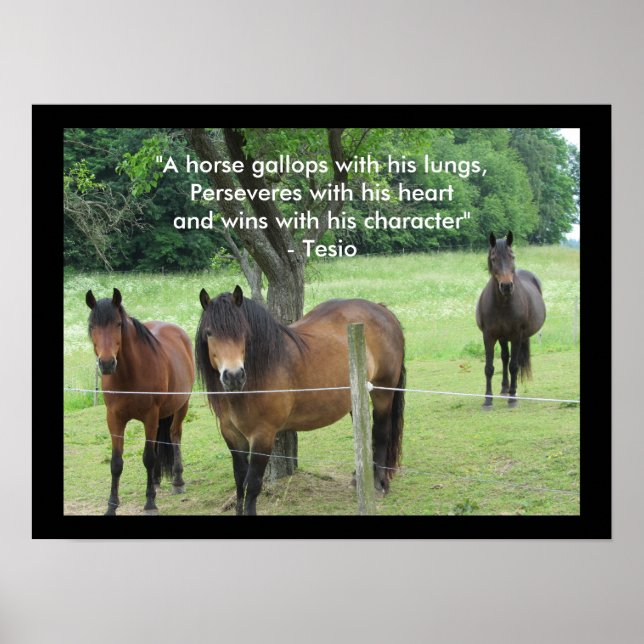 Poster Citation motivationnelle avec chevaux (Devant)