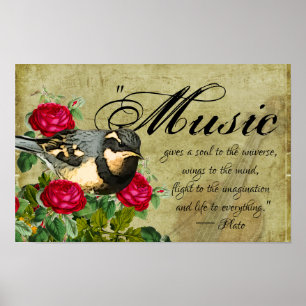 Poster Citation musicale, Grive à collier et roses, Violo