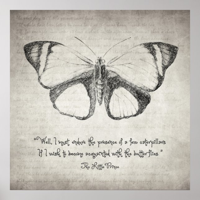 Poster Citation Papillon (Devant)