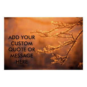 Poster Citation personnalisable Flocons de givre Aurore