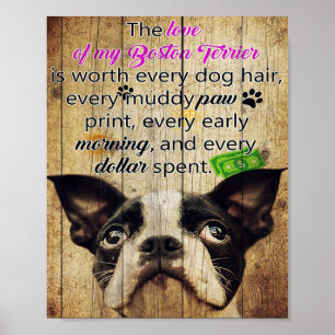 Poster Citations amusantes sur Boston Terrier présent