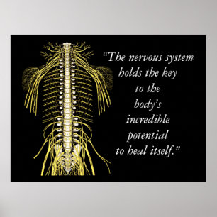 Poster Citations Chiropratique et Discours Système nerveu