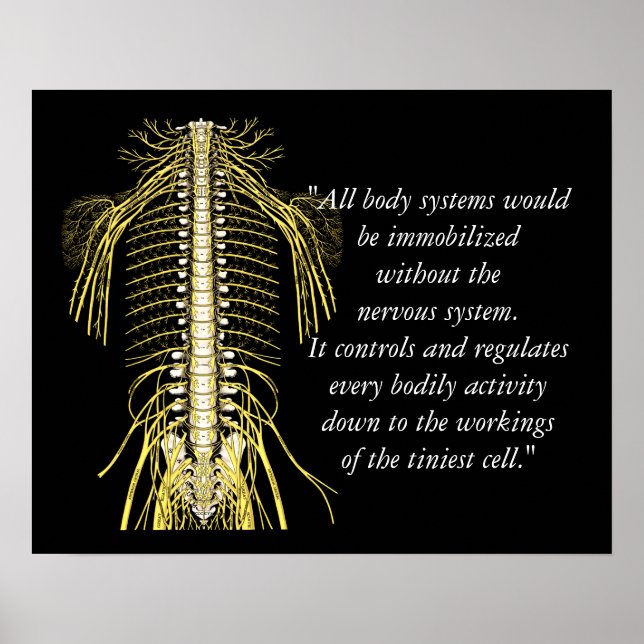 Poster Citations Chiropratiques et déclarations Nerves (Devant)