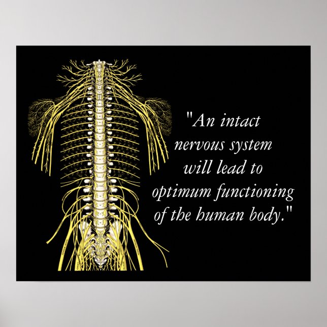 Poster Citations Chiropratiques et déclarations Nerves (Devant)