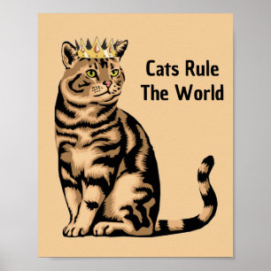 Poster Citations de chat orange