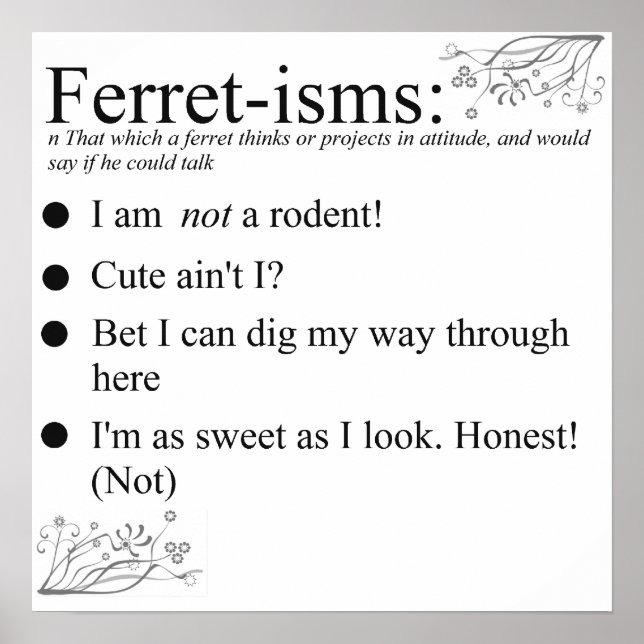 Poster Citations de furet (Devant)