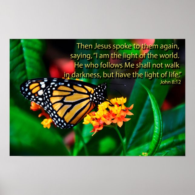 Poster Citations De La Bible Des Papillons (Devant)