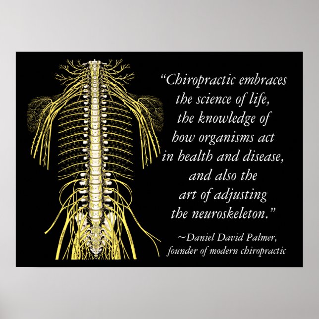 Poster Citations et déclarations de chiropratique DD Palm (Devant)