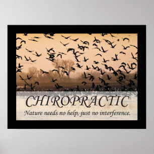 Poster Citations et déclarations de chiropratique Nature