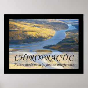 Poster Citations et déclarations de chiropratique Nature