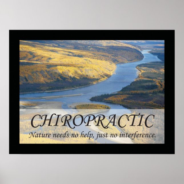 Poster Citations et déclarations de chiropratique Nature (Devant)