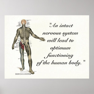 Poster Citations et déclarations de santé chiropratique
