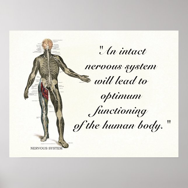 Poster Citations et déclarations de santé chiropratique (Devant)