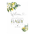 Citron Citrus Baby shower méditerranéen Bienvenue