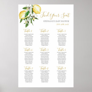 Poster Citrons Baby shower Girl Sein Chart