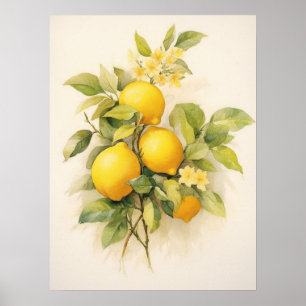 Poster Citrons Rafraîchissants Élégants