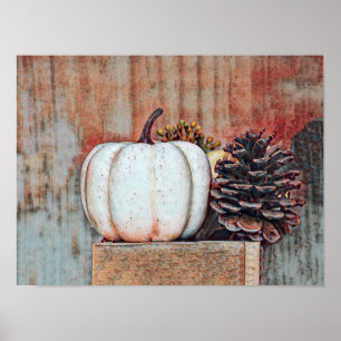 Poster Citrouille Blanc Automne Rustique Campagne Agritou