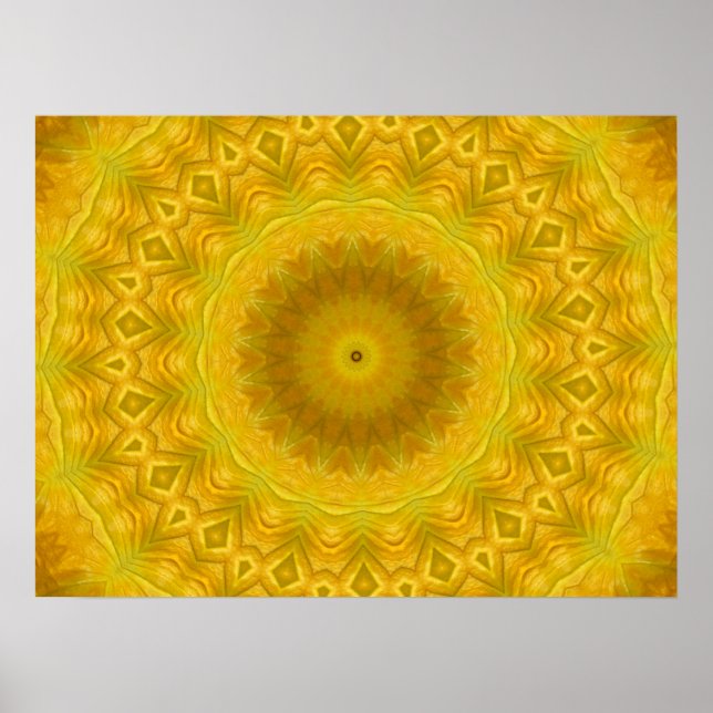 Poster Citrouille Blossom Kaleidoscope (Devant)