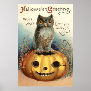 Poster Citrouille de hibou lanterne de Jack