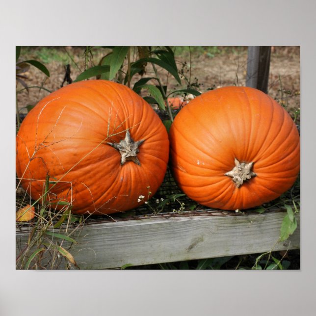 Poster Citrouille Pair Pays Automne (Devant)