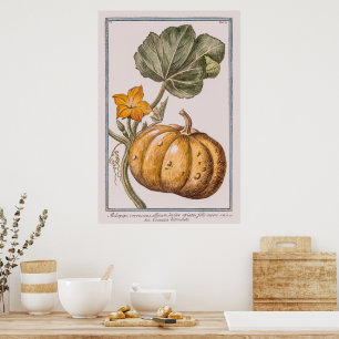 Poster Citrouille vintage par Giorgio Bonelli