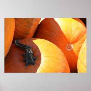 Poster Citrouilles