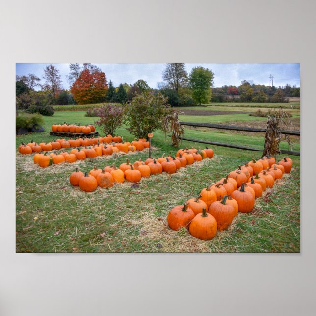 Poster Citrouilles à vendre, ferme de New York (Devant)
