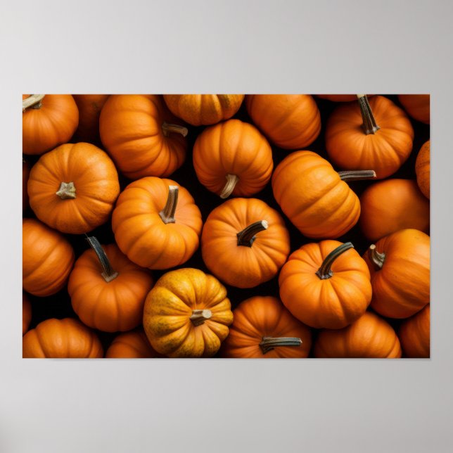 Poster Citrouilles agressés (Devant)