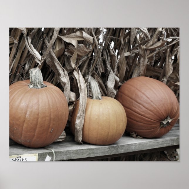 Poster Citrouilles D'Automne Et Stalks De Maïs (Devant)