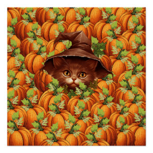 POSTER CITROUILLES DE THANKSGIVING CHAT MIGNON