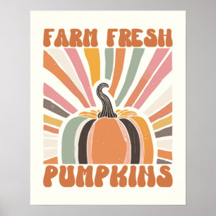Poster Citrouilles frais de la ferme rétro