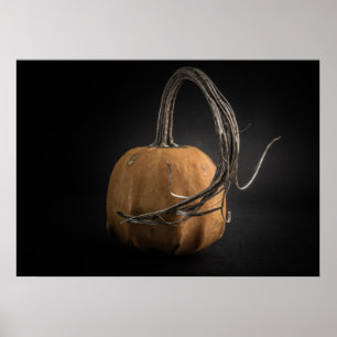 Poster Citrouilles N° 14 Version couleur