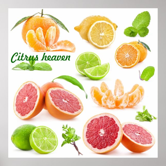 Poster Citrus paradis pour les amateurs de fruits (Devant)