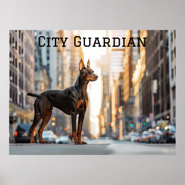 Poster City Sentinel : Doberman dans la jungle urbaine (Devant)