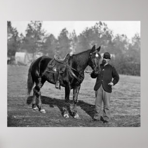 Poster Civil War Horse, 1864