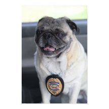 Clark comme Carlin Le chasseur de primes