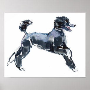 Poster Classe Sheer 2013