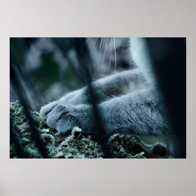 Poster Classer dans le Velvet (Devant)